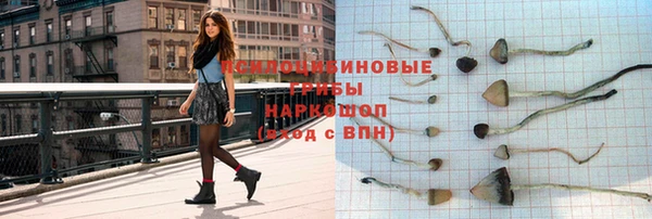 a pvp Дмитриев