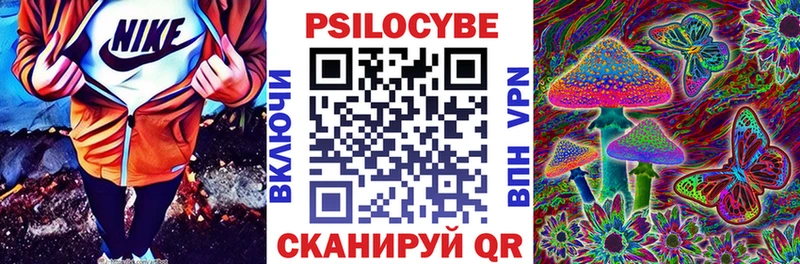 Галлюциногенные грибы Psilocybe гидра как зайти Калтан